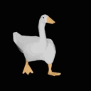 hoid